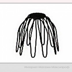 Паук